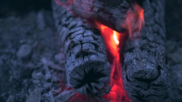 Close-up Troncos y carbones quemados en una barbacoa — Vídeo de stock