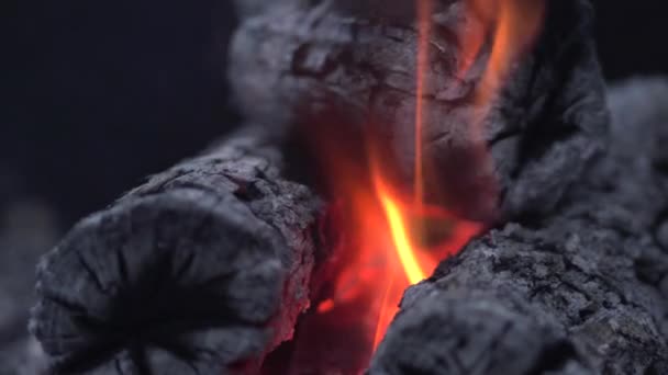 烧烤时的特写焚烧原木和煤块 — 图库视频影像