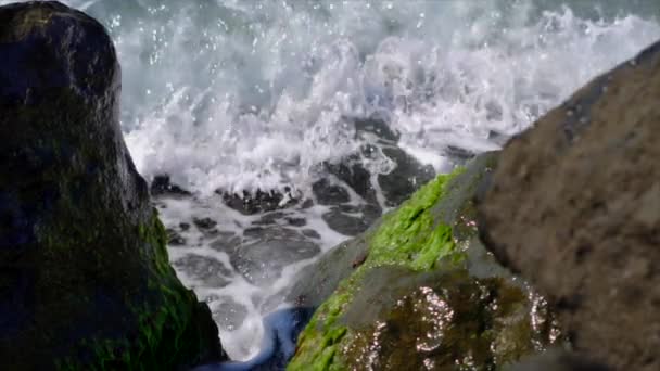 Крупный план, Серфинг, Камни на берегу моря, заросшие водорослями, Медленное движение — стоковое видео