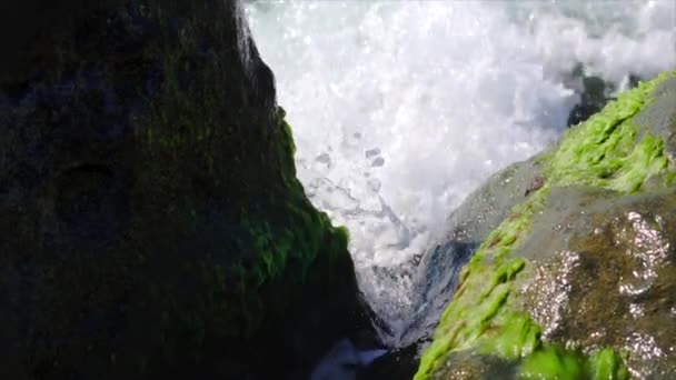 Närbild, Surf, stenar på stranden övervuxna med alger, slow motion — Stockvideo