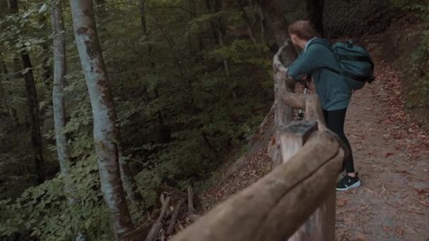 Chica Turista Con Una Mochila Pasea Largo Sendero Forestal Mirando — Vídeos de Stock