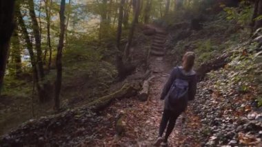 Sırt çantalı bir turist orman yolunda yürüyor. Etrafına bakıyor ve ormanın güzelliğine hayran.