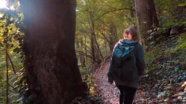 Sırt çantalı bir turist orman yolunda yürüyor. Etrafına bakıyor ve ormanın güzelliğine hayran.