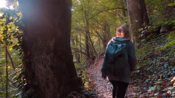 Κορίτσι τουρίστρια με σακίδιο περπατά κατά μήκος ενός δασικού μονοπατιού κοιτάζοντας γύρω και θαυμάζοντας την ομορφιά του δάσους — Αρχείο Βίντεο