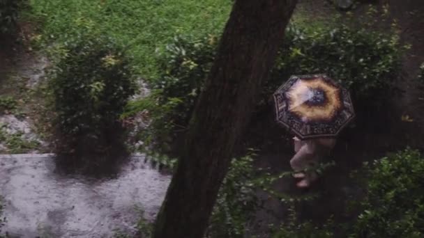 Mujer adulta caminando bajo un paraguas en tiempo lluvioso, vista desde la parte superior — Vídeos de Stock