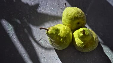 Masanın üzerinde olgun armutlar güneş ışığı ve su sıçratıyor. Su damlası