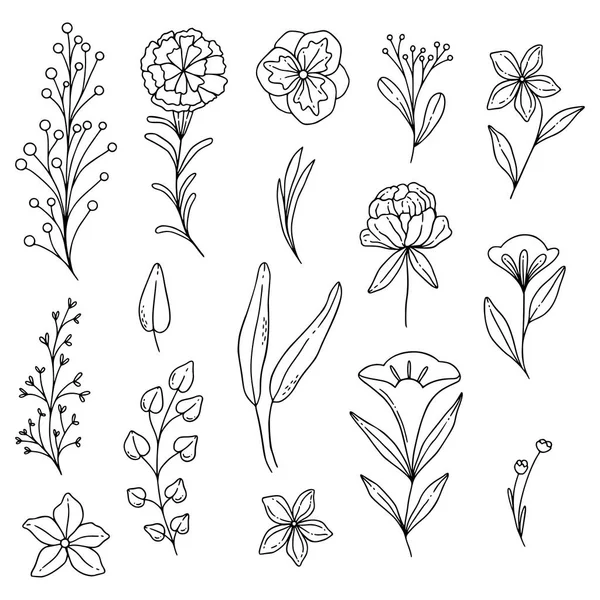 Geïllustreerde doodle bloemen, organische lijnen en vormen, floral designelementen. — Stockvector