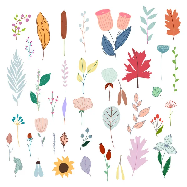 Ensemble de fleurs et plantes vectorielles pastel simples dessinées à la main. — Image vectorielle