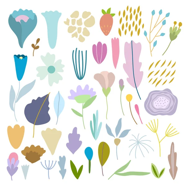 Lot de fleurs et plantes vectorielles pastel simples dessinées à la main. — Image vectorielle