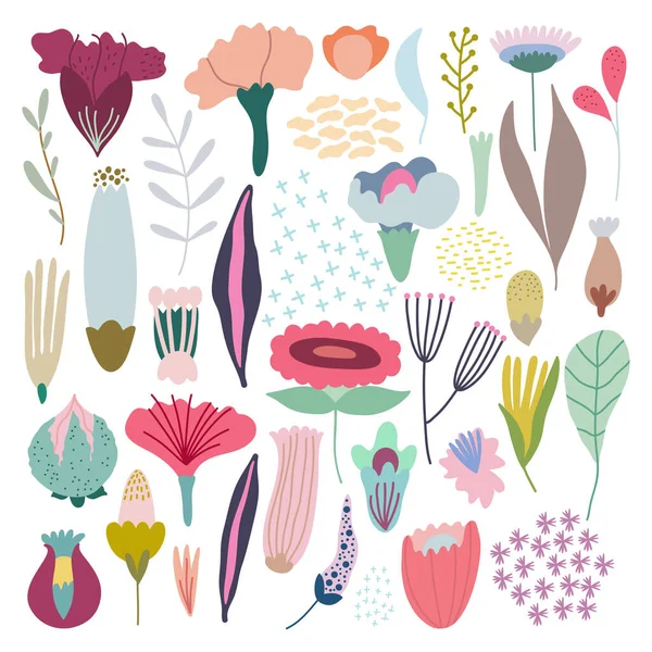 Paquete de flores y plantas de vectores pastel simples dibujados a mano . — Vector de stock