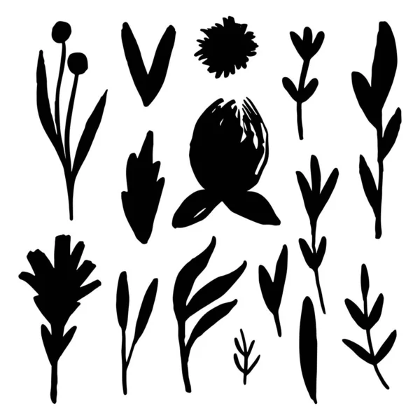 Paquete de flores y plantas de vectores pastel simples dibujados a mano . — Archivo Imágenes Vectoriales