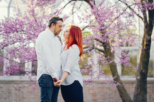 Elegante familie in een park — Stockfoto