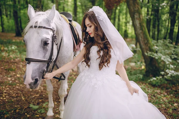 馬と花嫁 — ストック写真