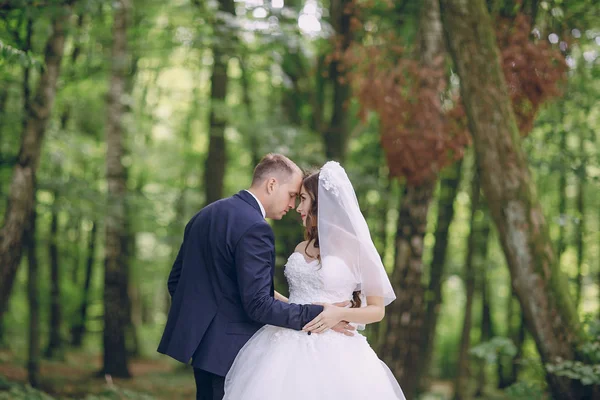 Couple in love — Stock Photo, Image