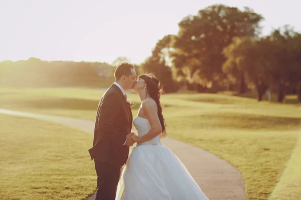 Maravilloso día de boda — Foto de Stock