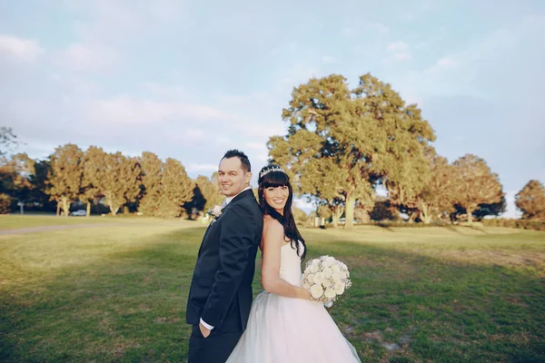 Maravilloso día de boda — Foto de Stock