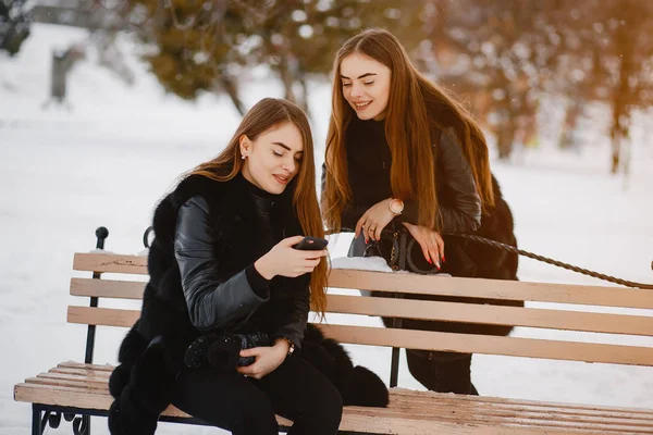 Chicas en un parque de invierno —  Fotos de Stock