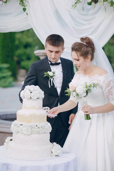 Paar mit Hochzeitstorte — Stockfoto