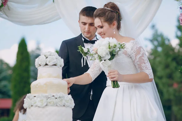 Paar mit Hochzeitstorte — Stockfoto