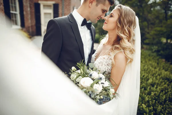 Pareja de boda elegante —  Fotos de Stock