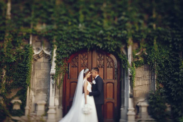 Casal lindo — Fotografia de Stock