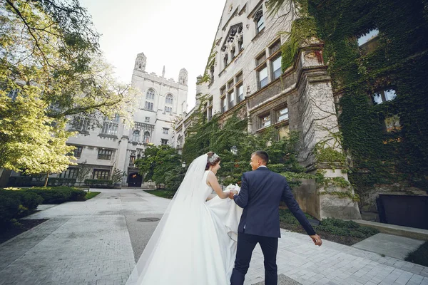 Hermosa pareja de boda —  Fotos de Stock