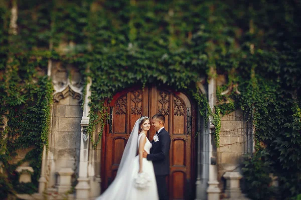 Casal lindo — Fotografia de Stock