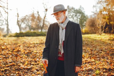 Güneşli bir sonbahar parkta zarif yaşlı adam 