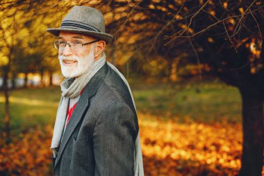 Güneşli bir sonbahar parkta zarif yaşlı adam 