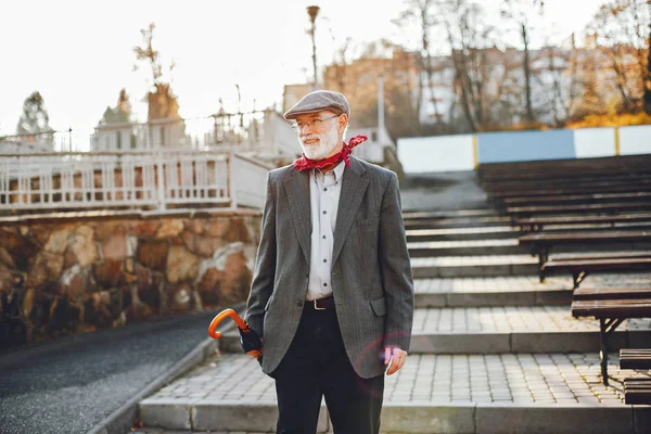 Güneşli bir sonbahar parkta zarif yaşlı adam 