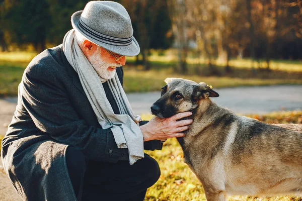 Cachorro idoso e feliz é eleito o 'mais feio do mundo' - Fotos - R7 Hora 7