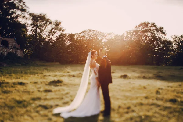 Bride and groom — Stock Photo, Image