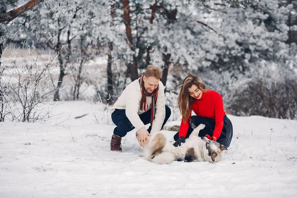 Beautiful couple playing with a dog — Stock Photo, Image