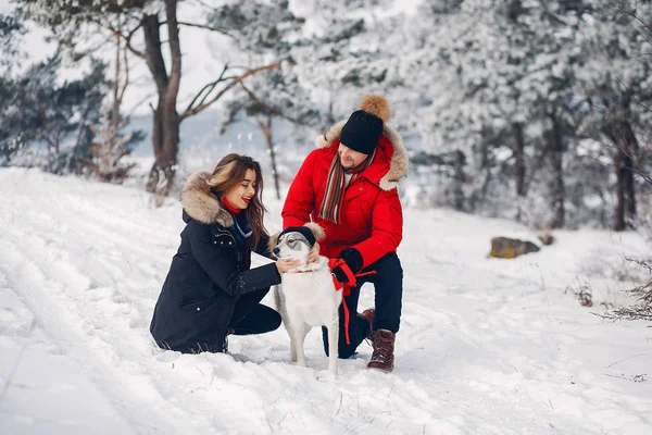 Beautiful couple playing with a dog — Stock Photo, Image