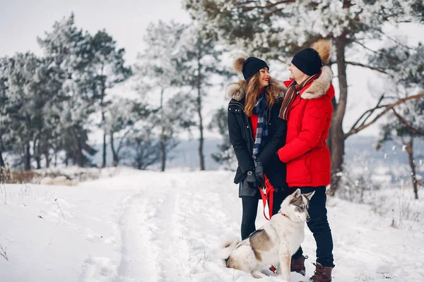 Beautiful couple playing with a dog — Stock Photo, Image