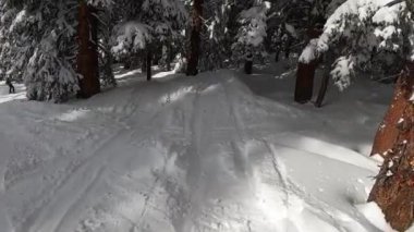 ilk kişi görünümü yokuş aşağı Colorado güzel havalarda Kayak