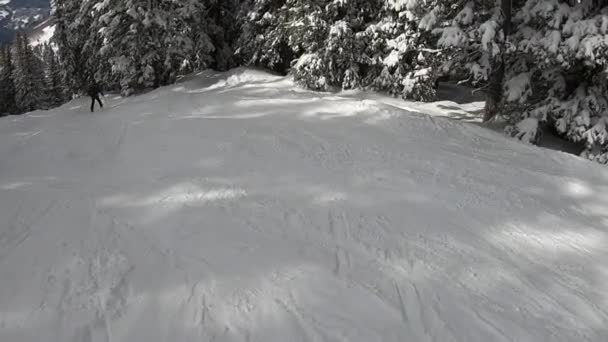 Primera persona vista esquí alpino en Colorado en buen tiempo — Vídeo de stock