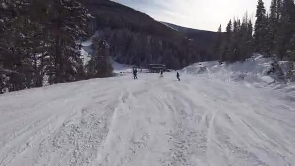 Primera persona vista esquí alpino en Colorado en buen tiempo — Vídeo de stock