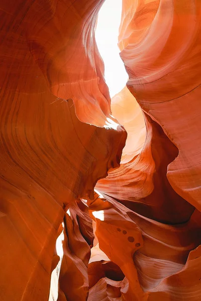 Grand Canyon nature footage in Arizona USA — Stock Photo, Image