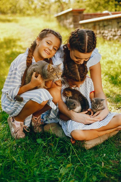 Tři krásné dívky s kočkami — Stock fotografie