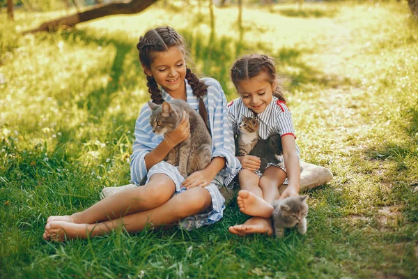 Deux belles filles avec des chats — Photo