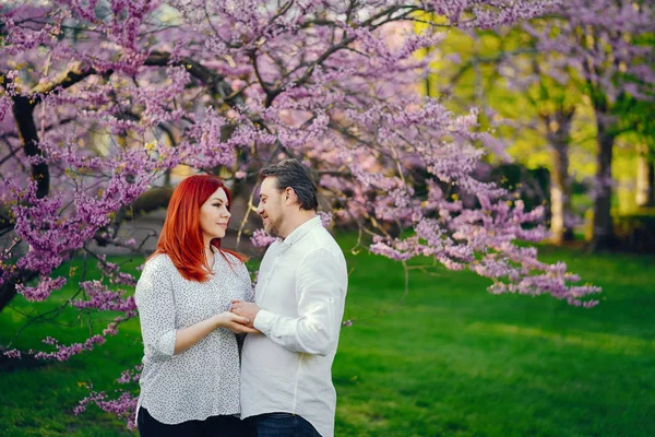 Elegant family in a park — Stock Photo, Image