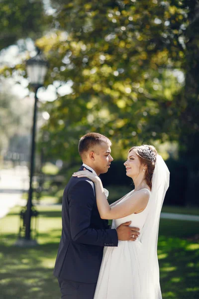 Hermosa pareja de boda —  Fotos de Stock