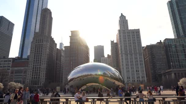 शिकागोमध्ये बीनला भेट देणार्या पर्यटकांचा व्हिडिओ — स्टॉक व्हिडिओ