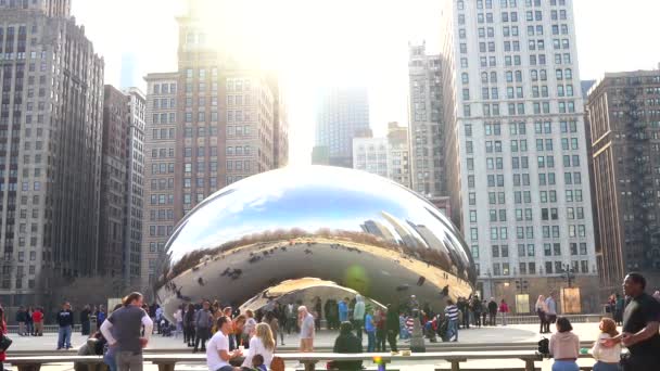 Video of tourists visiting the bean in Chicago — Stock Video