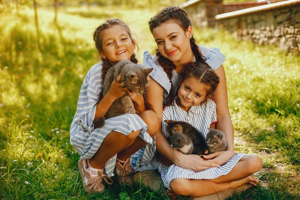 Três meninas bonitas com gatos — Fotografia de Stock