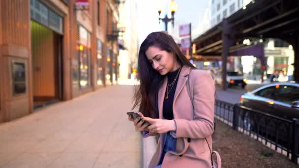 Video de la mujer escribiendo en el teléfono — Vídeos de Stock