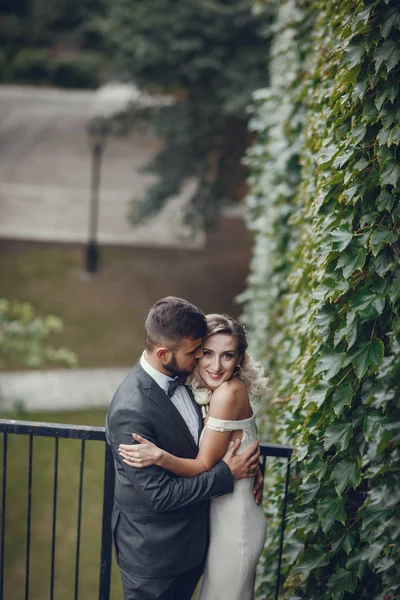 Novia y novio —  Fotos de Stock