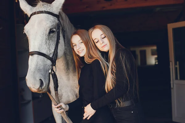 Elegant girls with a horse in a ranch — Stock Photo, Image