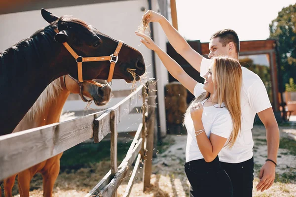 Belo casal passar o tempo com um cavalos — Fotografia de Stock